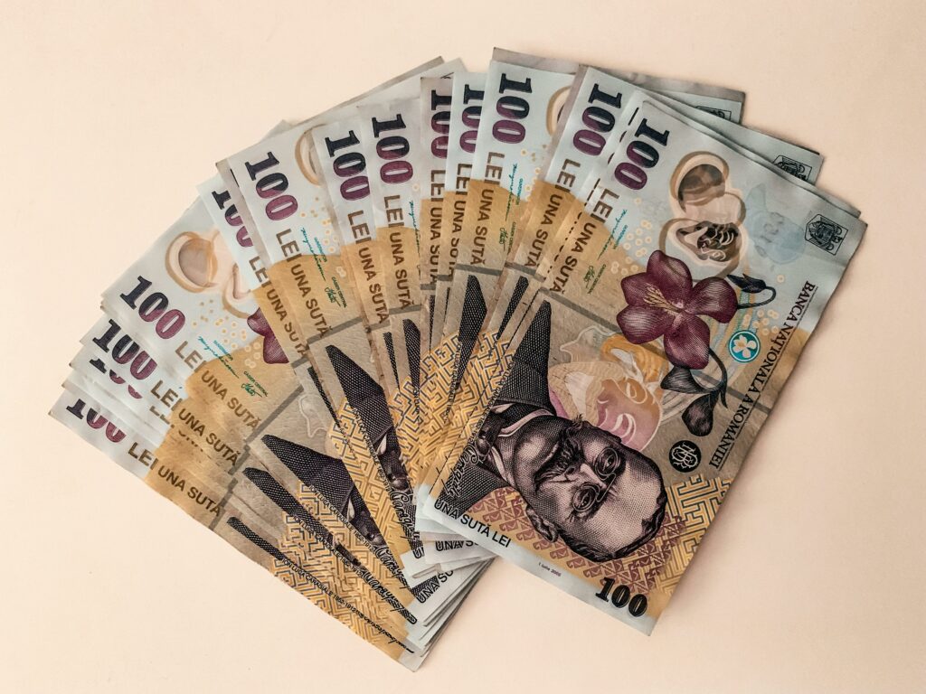 Fidelis VIII: românii au investit masiv în titlurile de stat