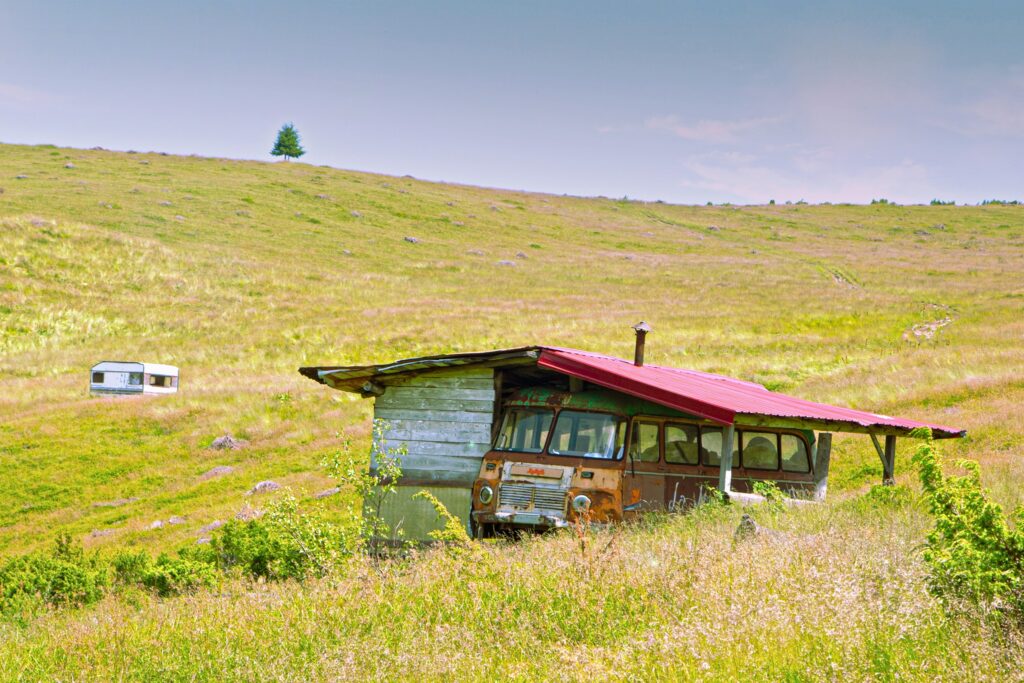 RECOMANDAREA SĂPTĂMÂNII-VISIT TIMIȘ