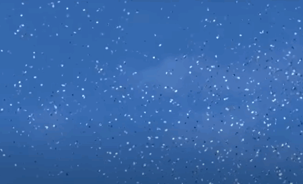 Israel aruncă fluturași de evacuare peste orașul Gaza înaintea unei ofensive terestre