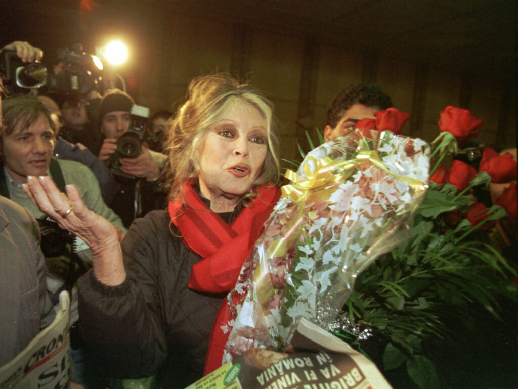 Brigitte Bardot, internată de trei săptămâni în spital. Starea actriței, „îngrijorătoare”