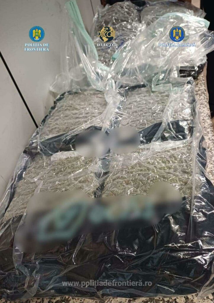 Cetățean albanez reținut pe Aeroportul Otopeni cu 22 de kilograme de canabis ascunse în bagaj