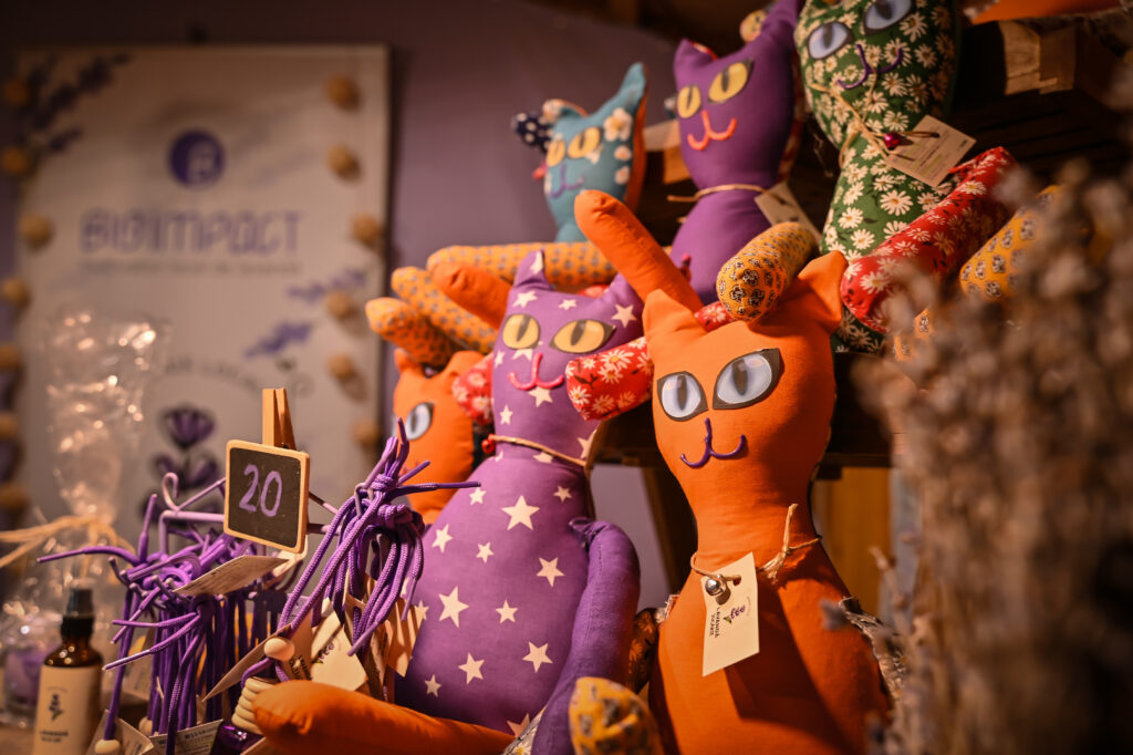 Britanicii au stabilit care este cel mai ieftin târg de Crăciun din lume. O bere costă 1,7 lei iar ciocolata caldă se vinde cu 8,7 lei