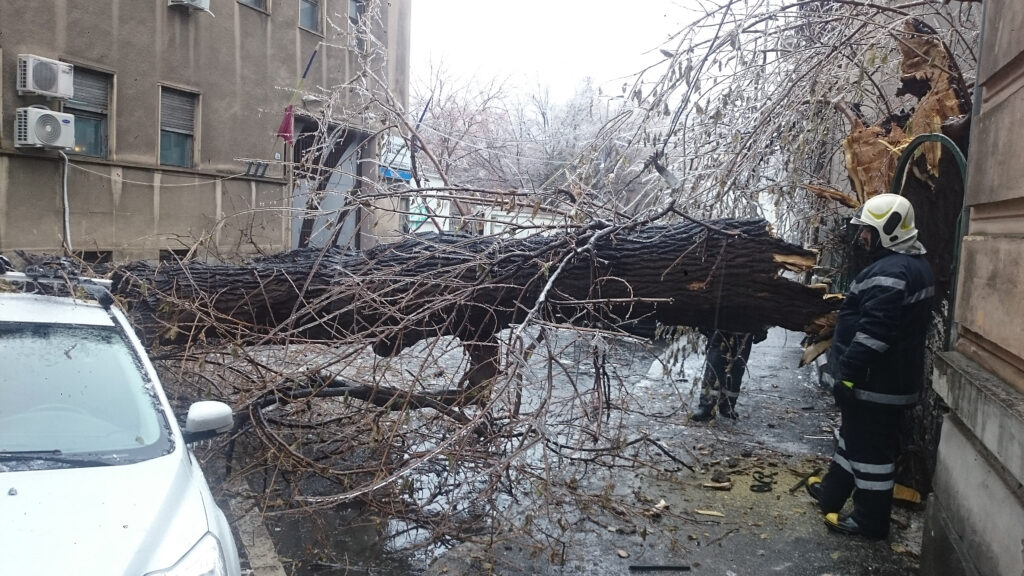 Pompierii din Giurgiu au intervenit după furtună pentru degajarea copacilor și cablurilor avariate