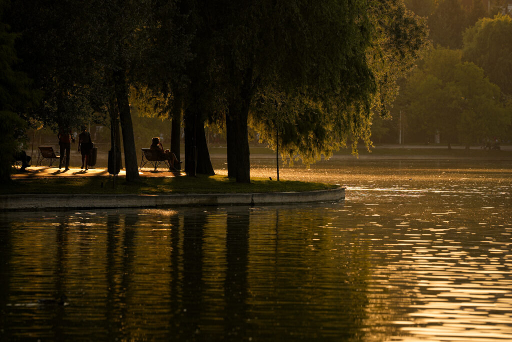 Viitorul parcului IOR se votează mâine. Primăria vrea o modernizare de 43 de milioane de euro cu „hub acvatic” și „spații comerciale”, dar societatea civică reclamă „betonări excesive și comercializarea spațiului verde”