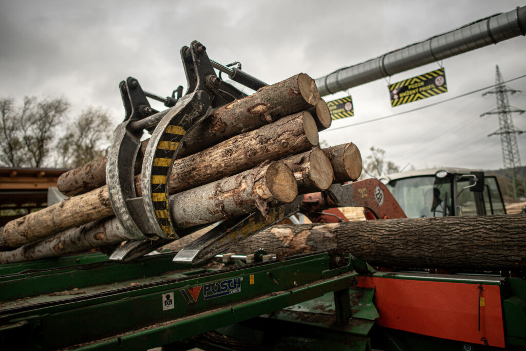 Legea împotriva defrișărilor va fi amânată încă un an, decide Parlamentul European