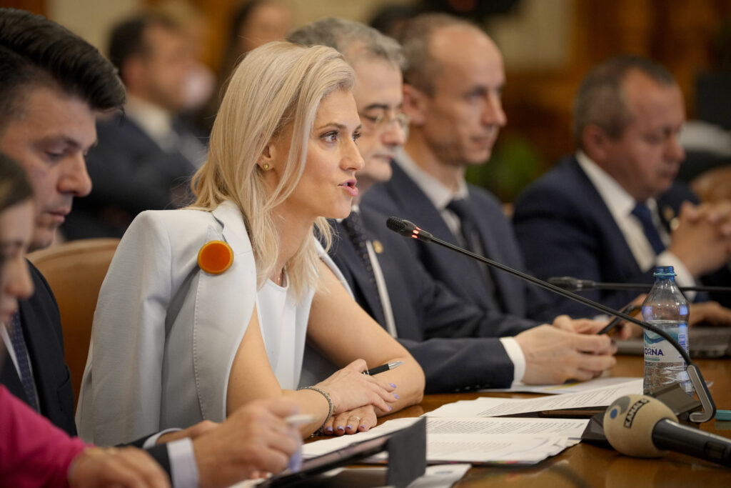 Alina Gorghiu: Femicidul trebuie pedepsit cu până la 20 de ani sau închisoare pe viață