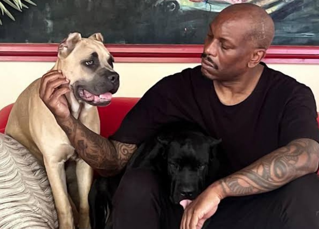 Vedeta din „Fast and Furious”, Tyrese Gibson, cautată de poliție. Câinii săi ar fi ucis animalul de companie al unui vecin