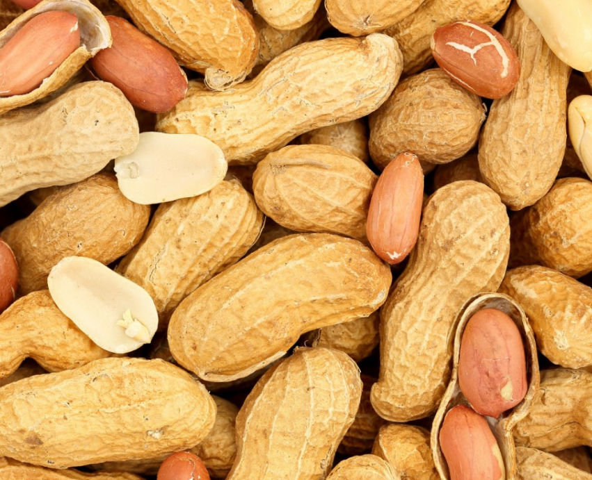 Hrănirea bebelușilor cu arahide de la o vârstă fragedă ar putea ajuta copiii să prevină alergiile – studiu