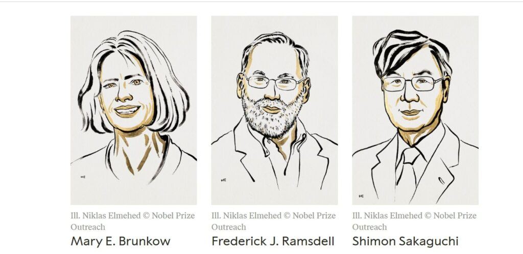 Doi cercetători americani și un cercetător japonez, laureații Premiului Nobel pentru Medicină 2025