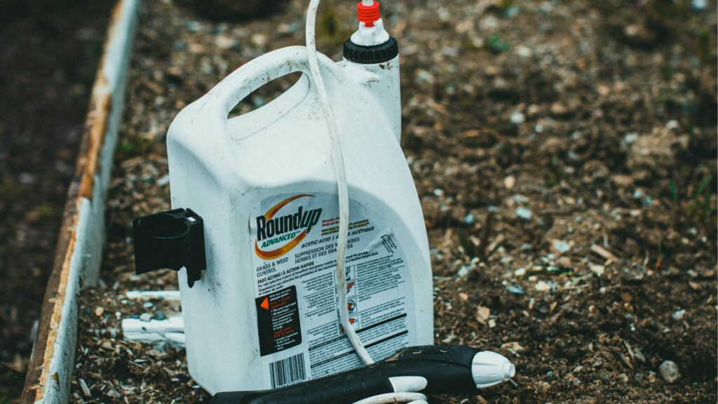 CE: România trebuie să respecte normele privind insecticidele periculoase