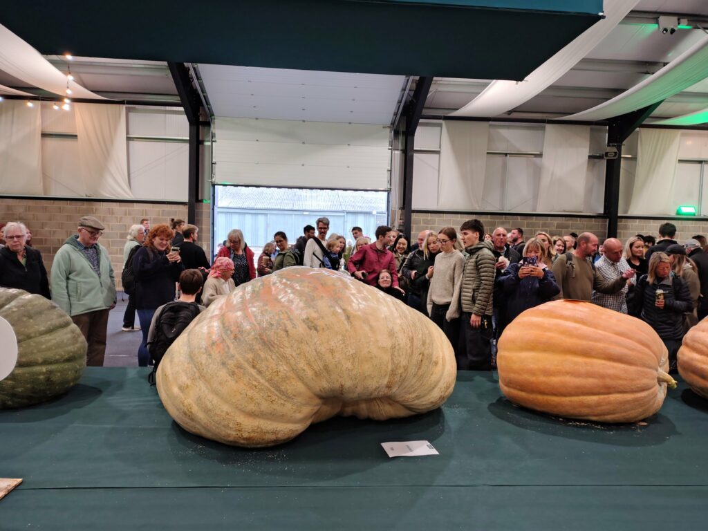 Știința din spatele cultivării unui dovleac gigant. Acesta cântărește aproape cât o mașină mică
