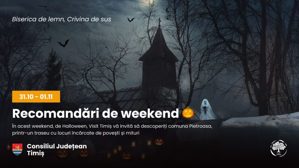 Recomandare de weekend-Visit Timiș