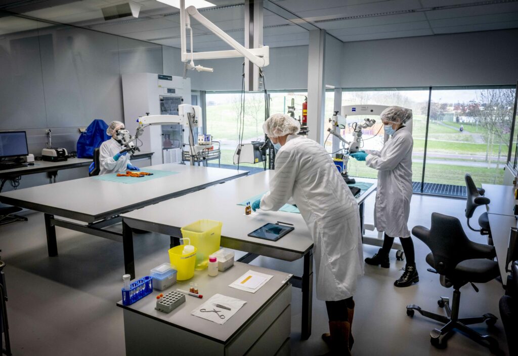 Noul test ADN care ar putea prezice cancerul înainte ca acesta să se dezvolte