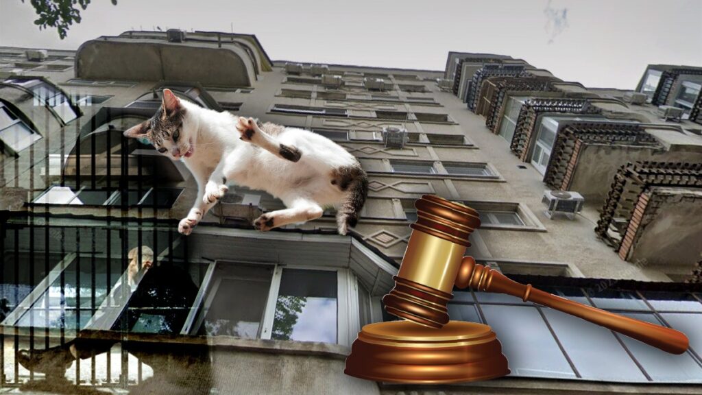 O prahoveancă a fost condamnată la 1 an și 5 luni de închisoare după ce și-a aruncat pisica de la etajul 3. De altfel, instanța a dispus internarea femeii la Psihiatrie