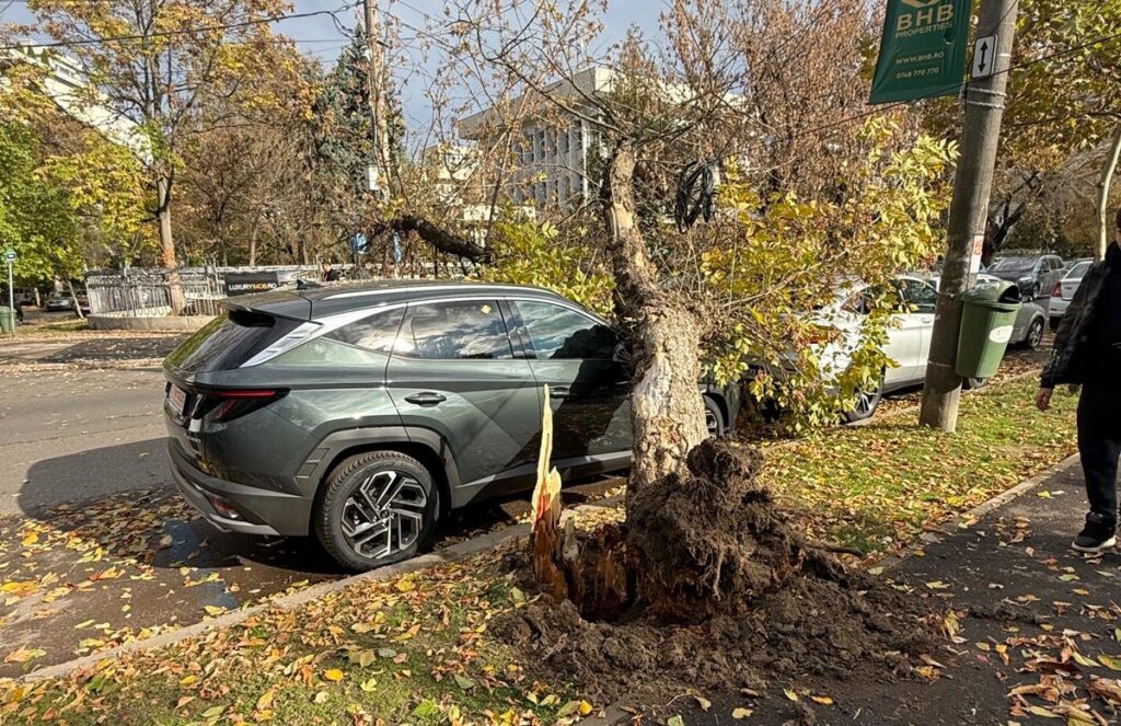 Un copac s-a prăbușit peste o mașină în cartierul Nordului din Capitală | FOTO-VIDEO