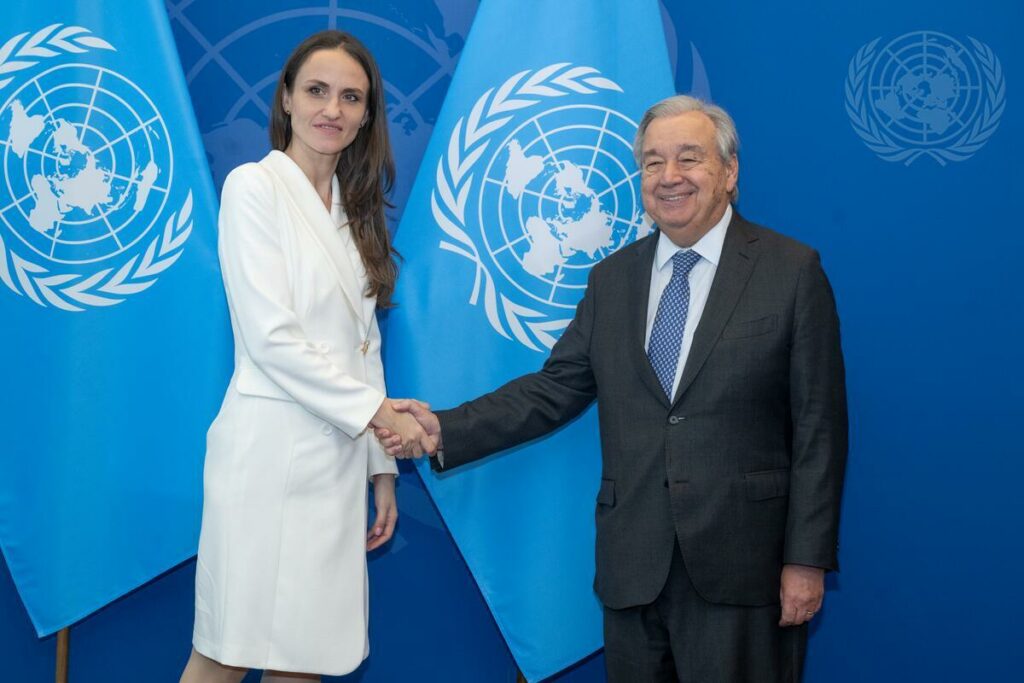 Oana Țoiu: Obiectivele României la ONU au fost axate pe siguranța cetățenilor și consolidarea apărării pe flancul estic