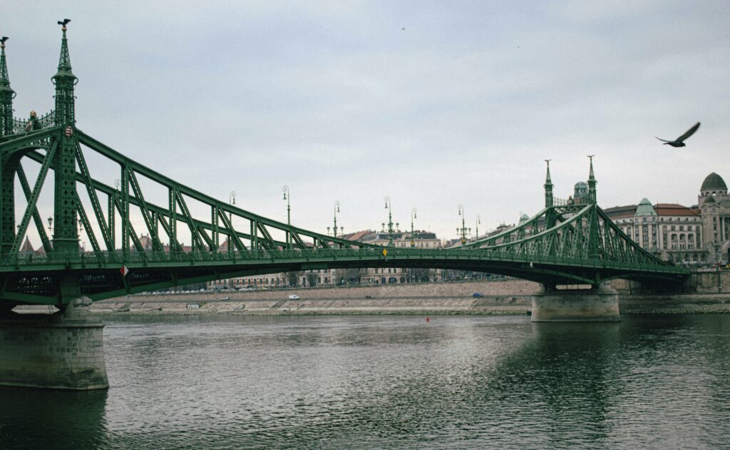 Liliecii opresc podul peste Dunăre! Austria se lovește de aceeași problemă ca România