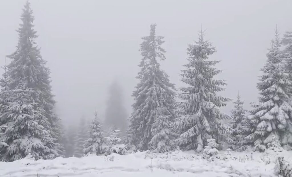 A nins în zona montană înaltă: Stratul de zăpadă a ajuns la 3 centimetri la stația meteo Iezer
