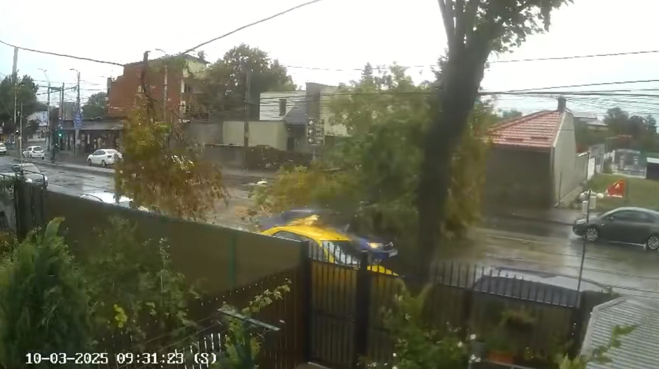 Momentul în care un copac este doborât de vânt peste mașini aflate în mers, în București