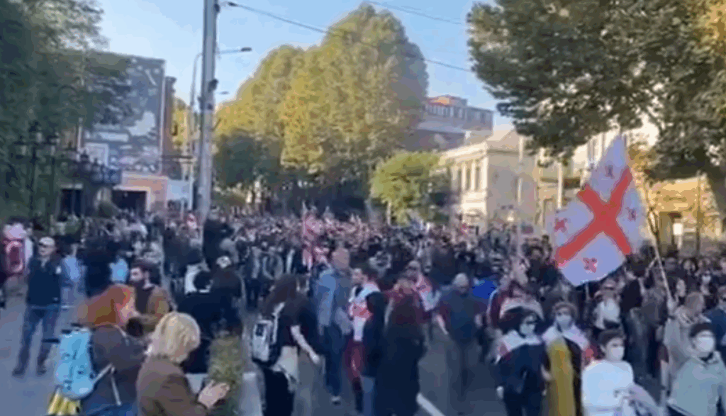 Proteste violente la Tbilisi: Manifestanții au încercat să ia cu asalt palatul prezidențial