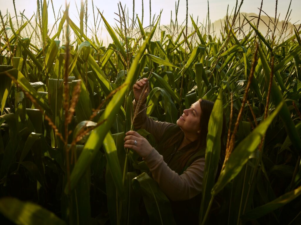 Tendințele inovatoare și tehnologiile de vârf modelează viitorul agriculturii europene