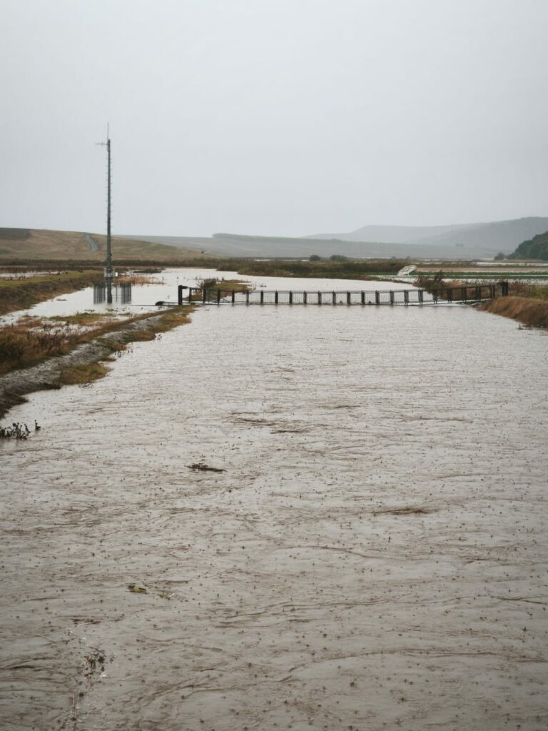 Decizie ANM. Codul roșu prelungit în mai multe zone. Va continua să plouă în cantități mari