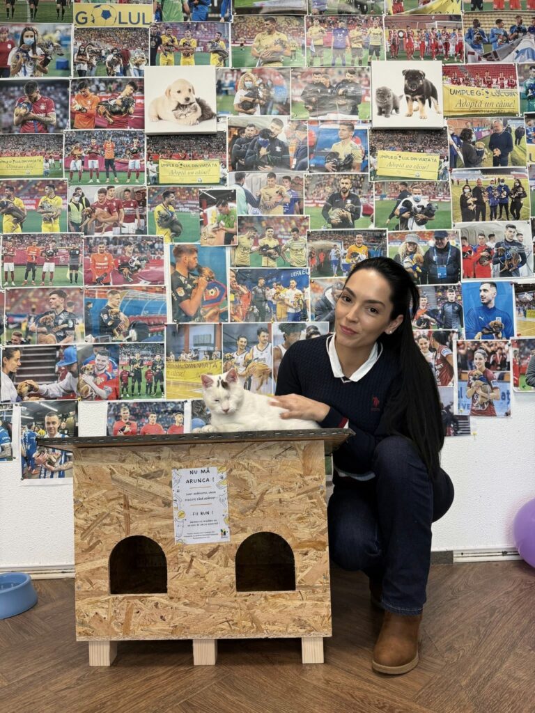 Căsuțe gratuite pentru pisicile nimănui în București și Ilfov. A început distribuirea adăposturilor de iarnă