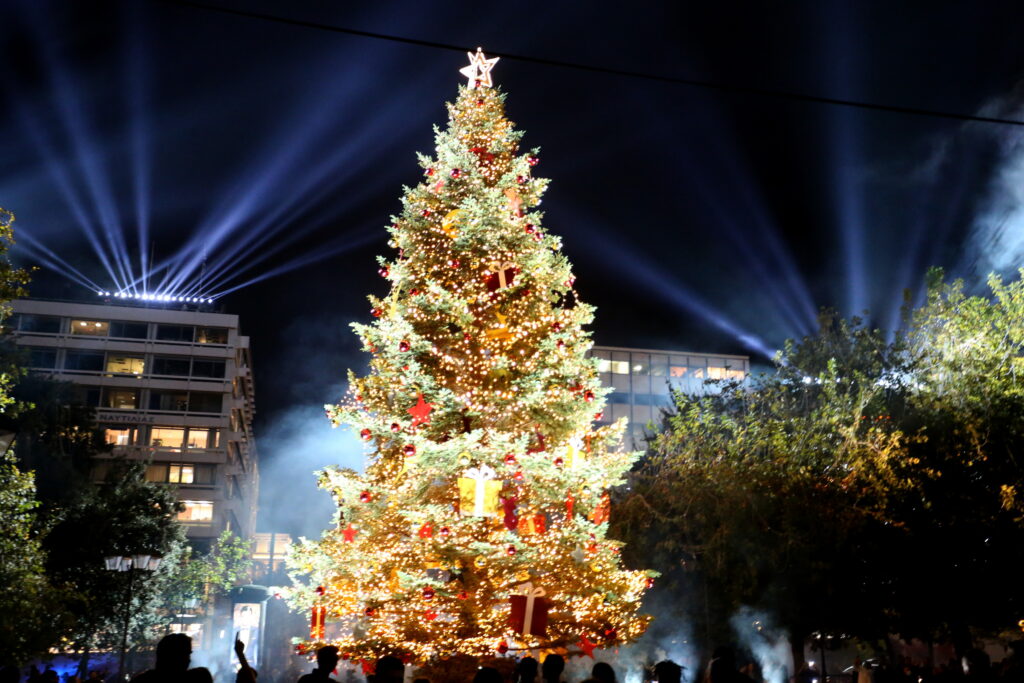 Recoltarea brazilor de Crăciun și decorarea acestora au început în Germania: „Lucrurile devin puțin agitate”