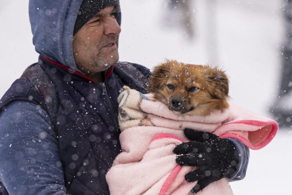 ANM a emis cod galben de vânt în trei județe: Rafale de până la 120 km/h în zona montană