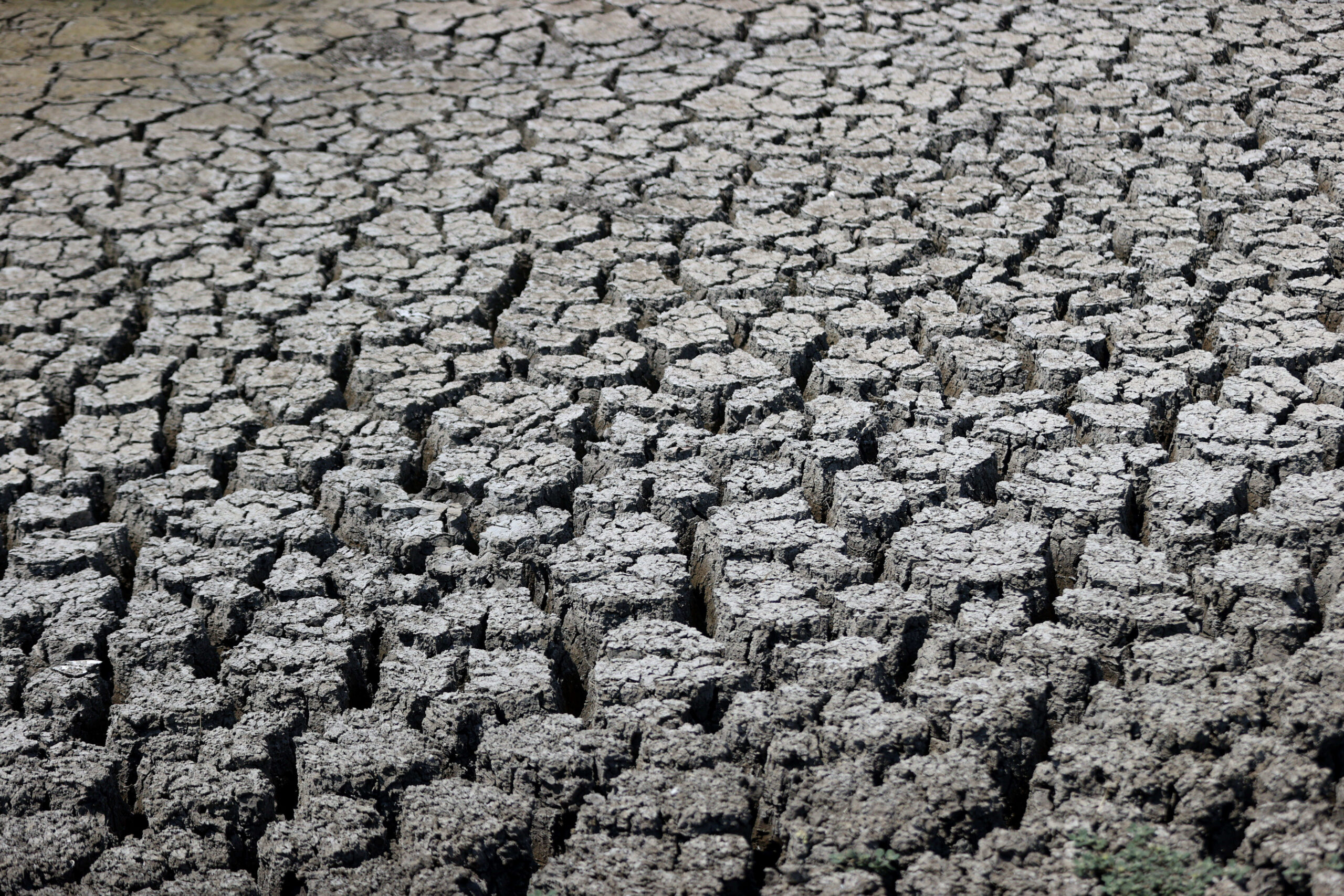 Consecințele schimbărilor climatice în România