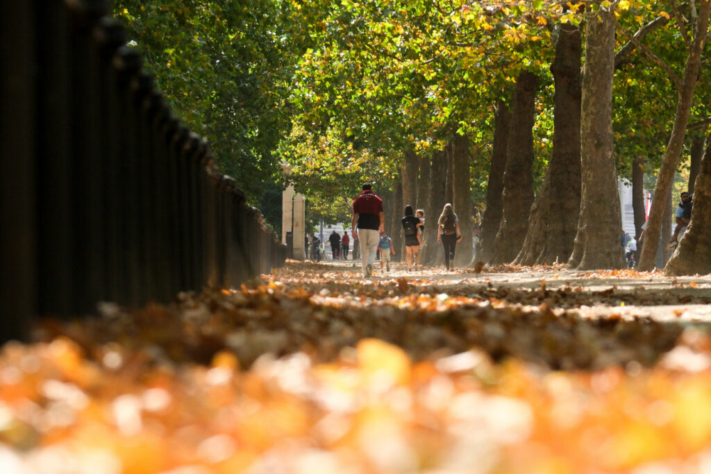 Prognoza meteo până în preajma Crăciunului