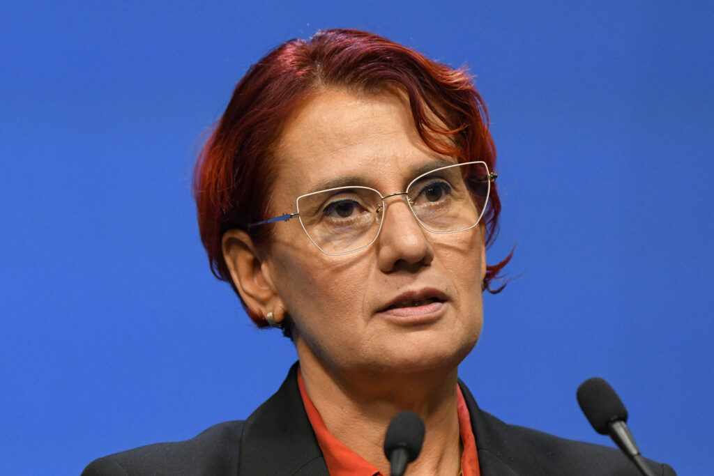 Ioana Dogioiu, despre problema cărților electronice de identitate: Soluția este ca instituțiile publice să-și achiziționeze cititoare