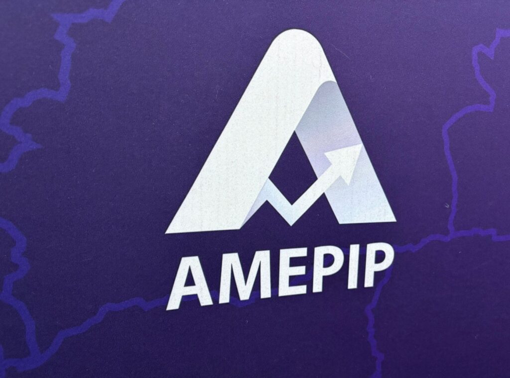 Cine face parte din conducerea AMEPIP? Anișoara Ulcelușe, șefă de departament la Comisia Europeană și director de finanțe la mai multe firme din mediul privat