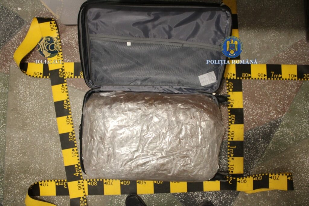 Captură mare de cabanis în Botoșani: 31 de kilograme de droguri duse în trei trolere