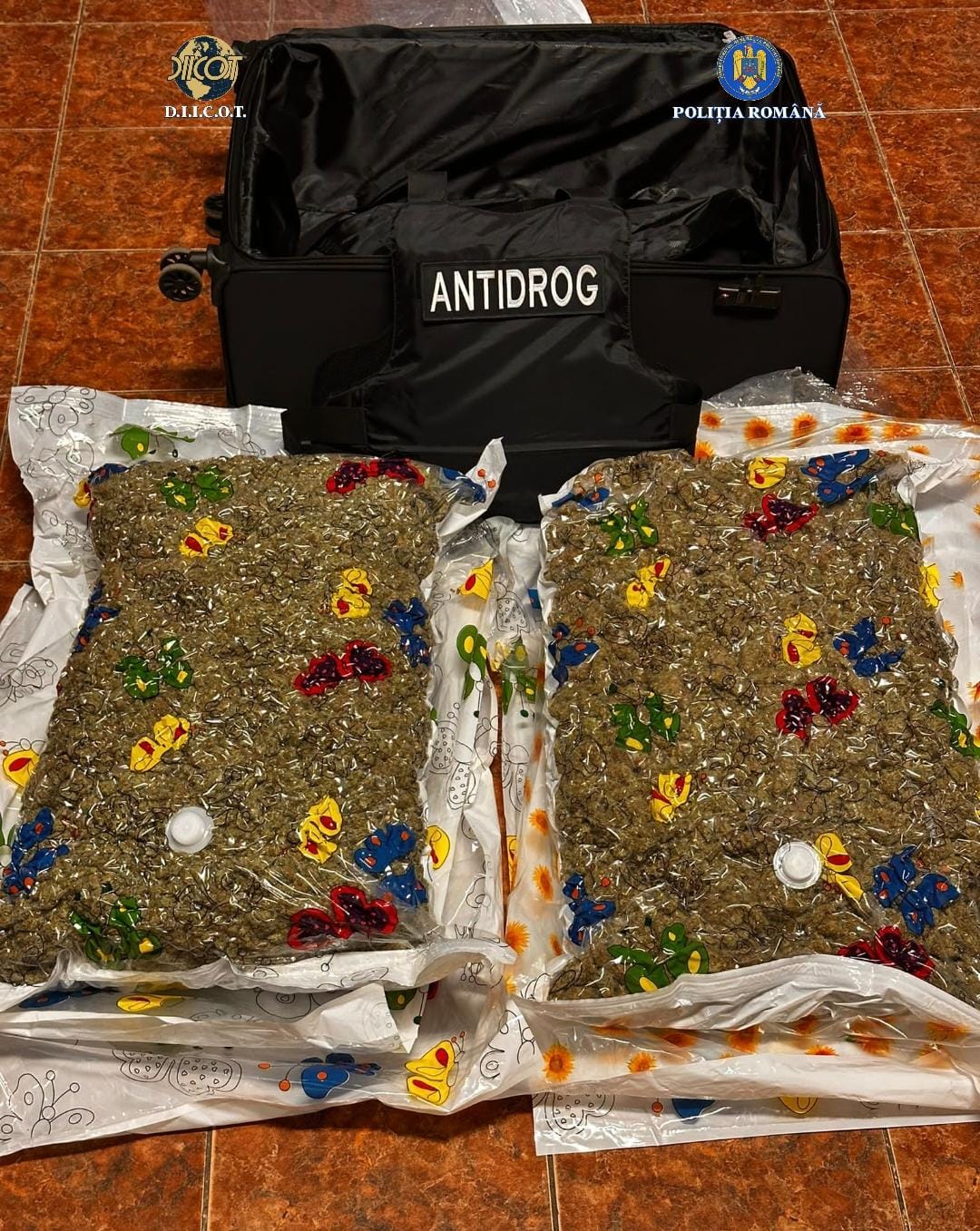 Olandez reținut cu 12 kg de droguri zombie în București