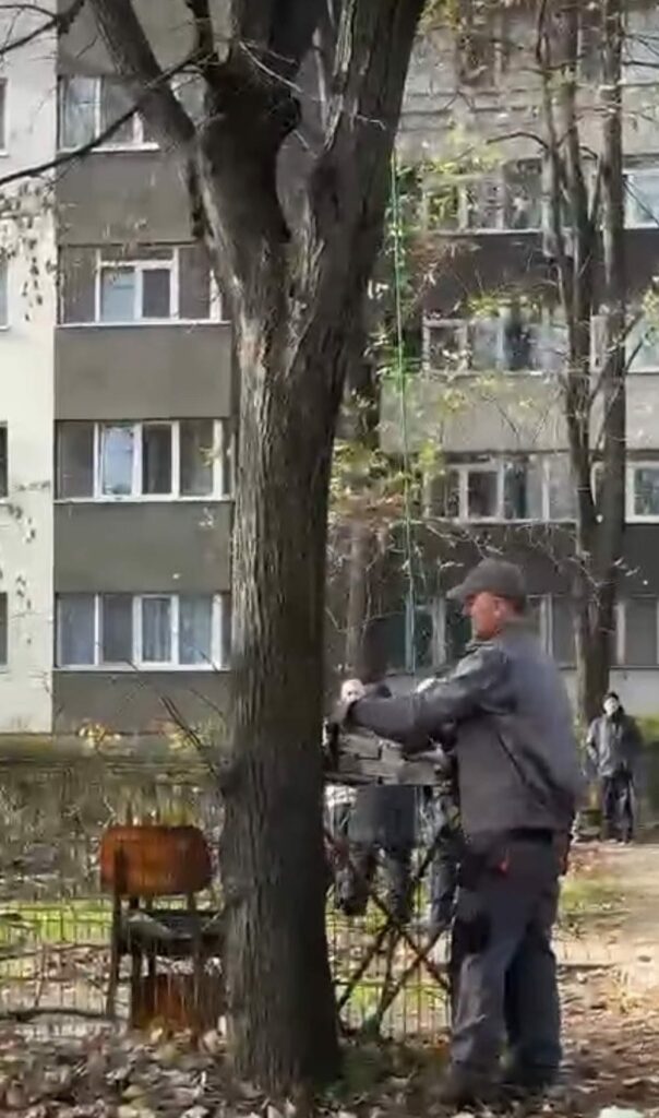 Tăieri ilegale de copaci în Parcul IOR, sub ochii polițiștilor locali de mediu