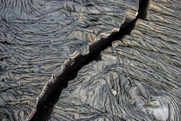 Zona de subducție Cascadia se destramă. Placa Explorer se rupe, anunțând astfel sfârșitul unei structuri tectonice majore