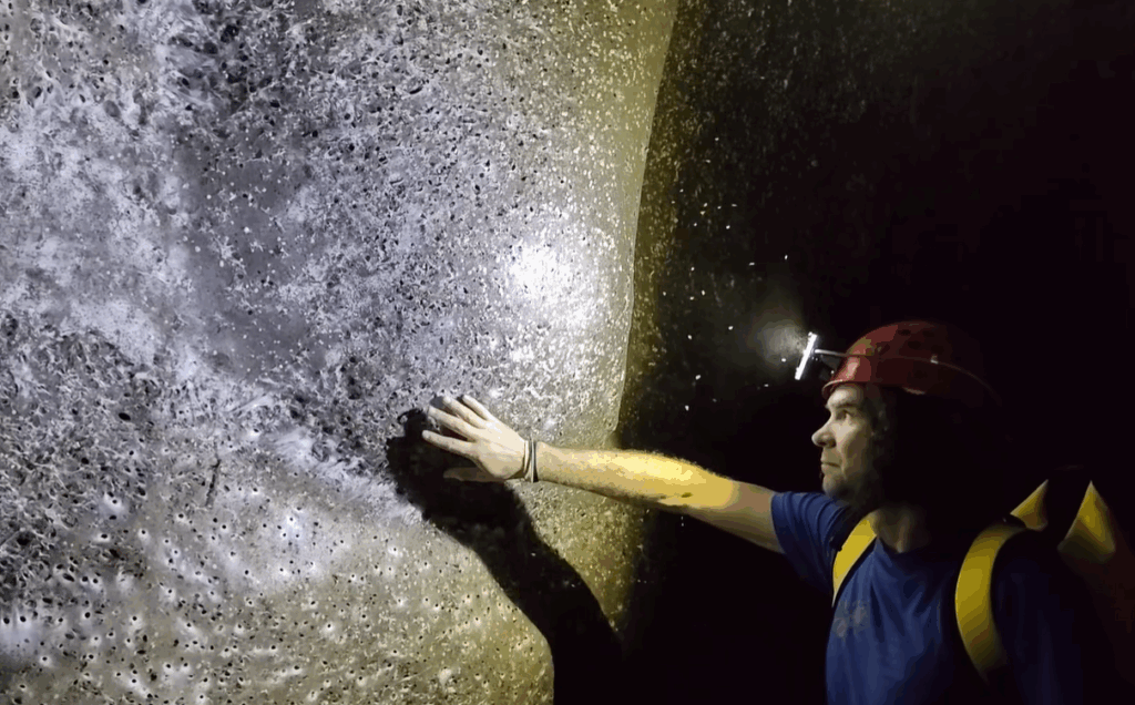 Cea mai mare colonie cu pânză de păianjeni din lume, analizată de un profesor de la Universitatea Sapientia din Transilvania