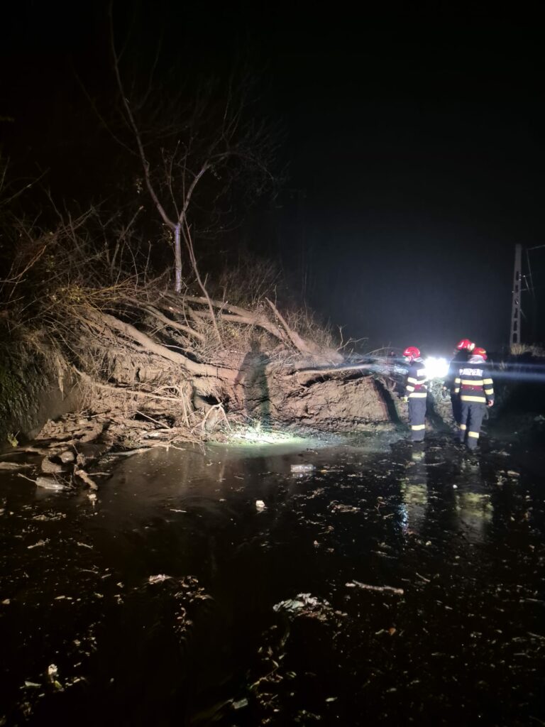 Noapte de foc pentru pompierii din Prahova. Au intervenit pentru inundații, copaci căzuți și alunecări de teren