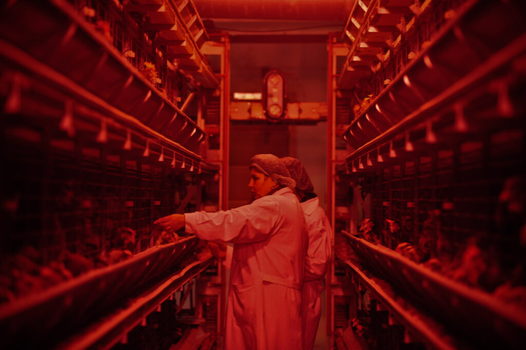 Compania Van Hessen își închide operațiunile din România după patru ani