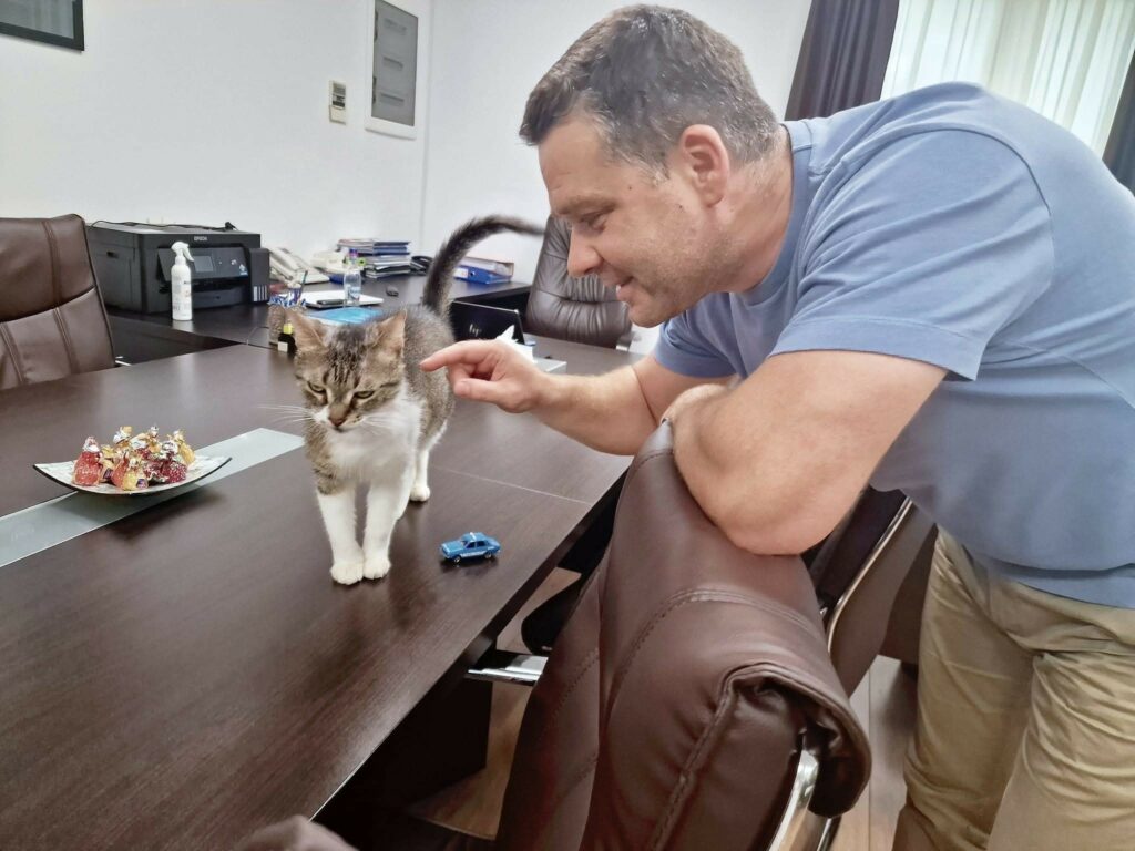 Ciucu vrea o „mâță” și la Primăria Capitalei: iubesc pisicile, dar trebuie să fie în siguranță