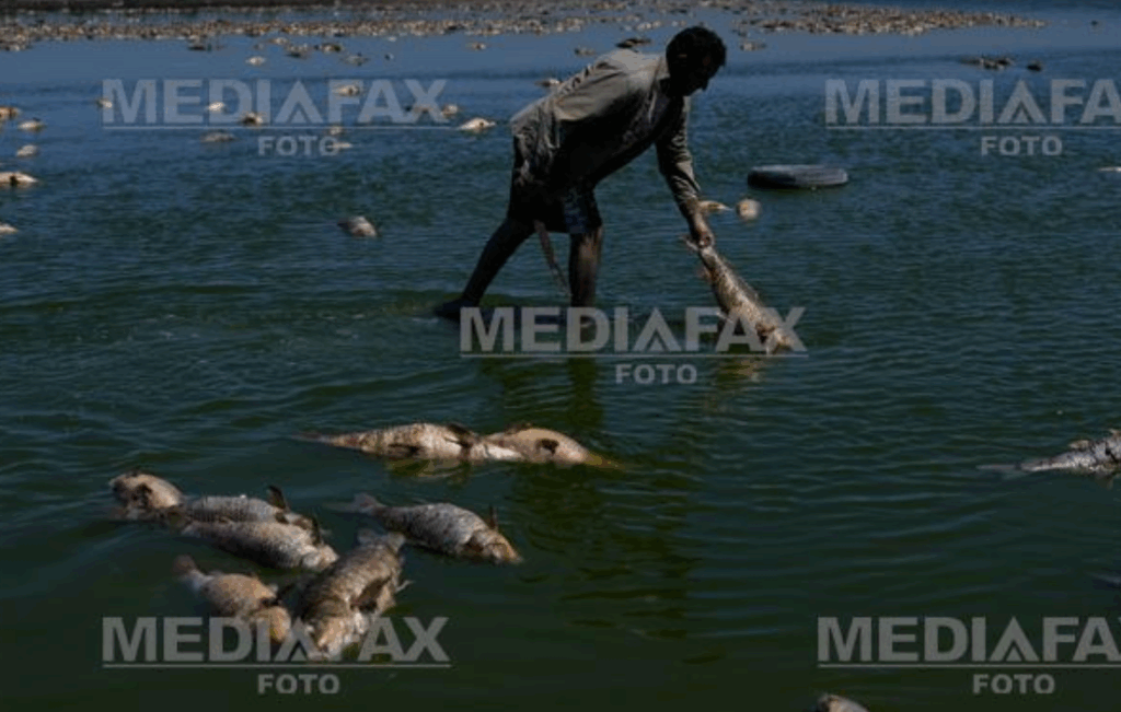 Rusia pregătește o catastrofă ecologică la Herson, cu efecte pentru România, Bulgaria și Turcia – arată documente interceptate