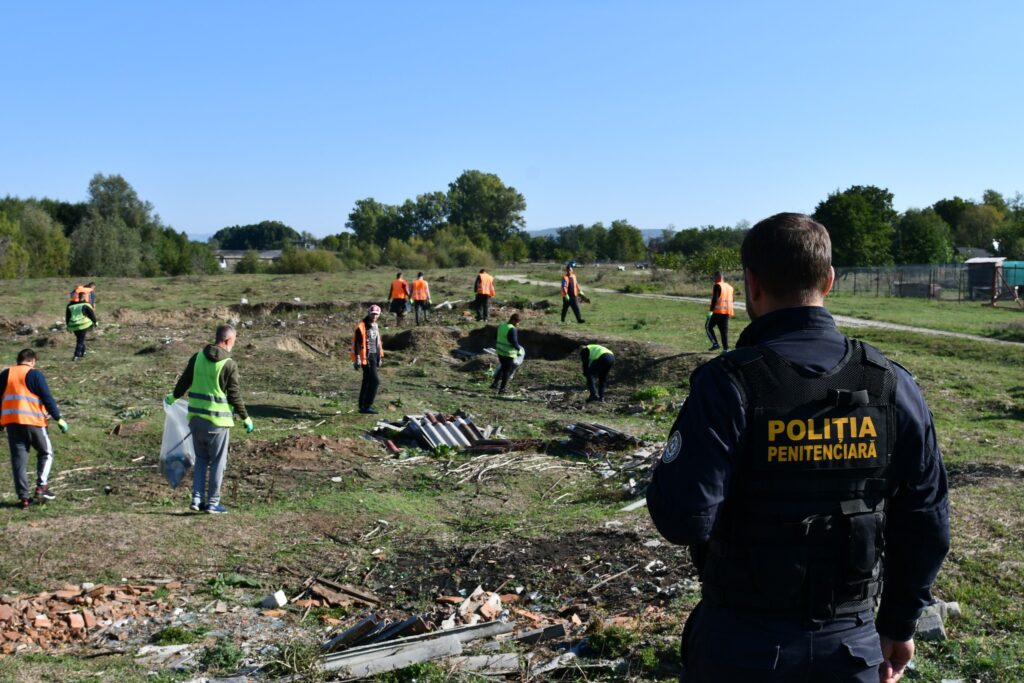 Cât costă pe oră un ajutor în gospodărie, de la spart lemne și curățat terenuri până la construirea de foișoare și mobilier din lemn