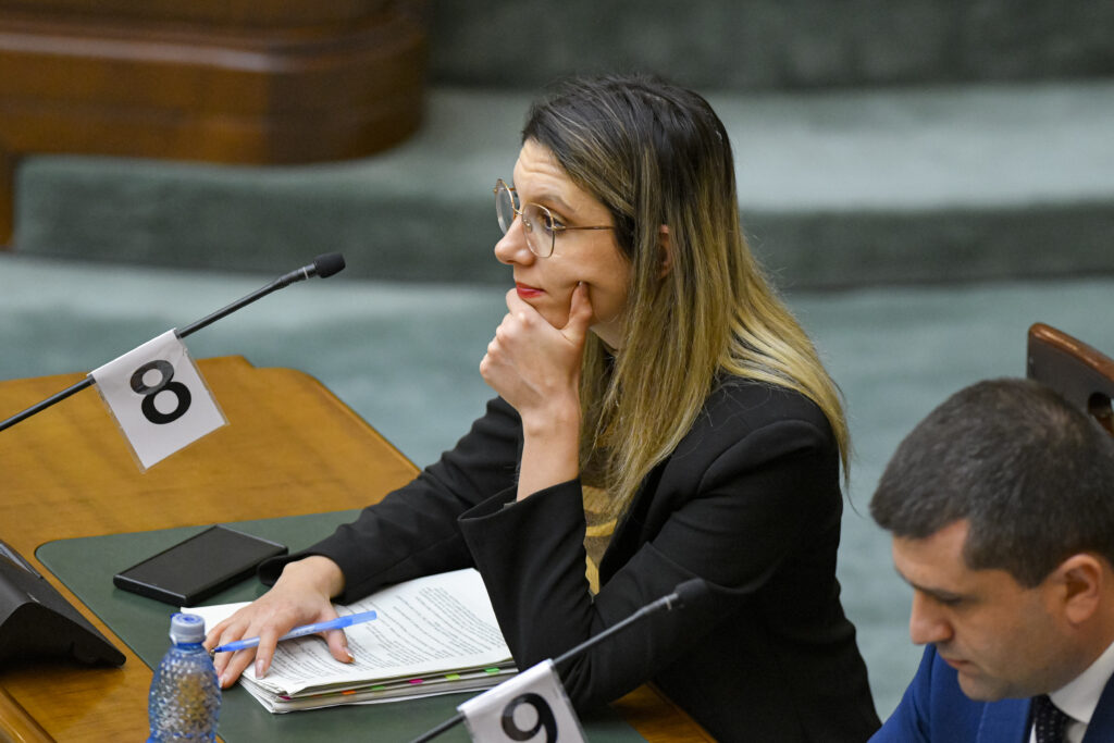 Diana Buzoianu după adoptarea moțiunii simple: Nu voi minți Comisia Europeană că am reformat Romsilva