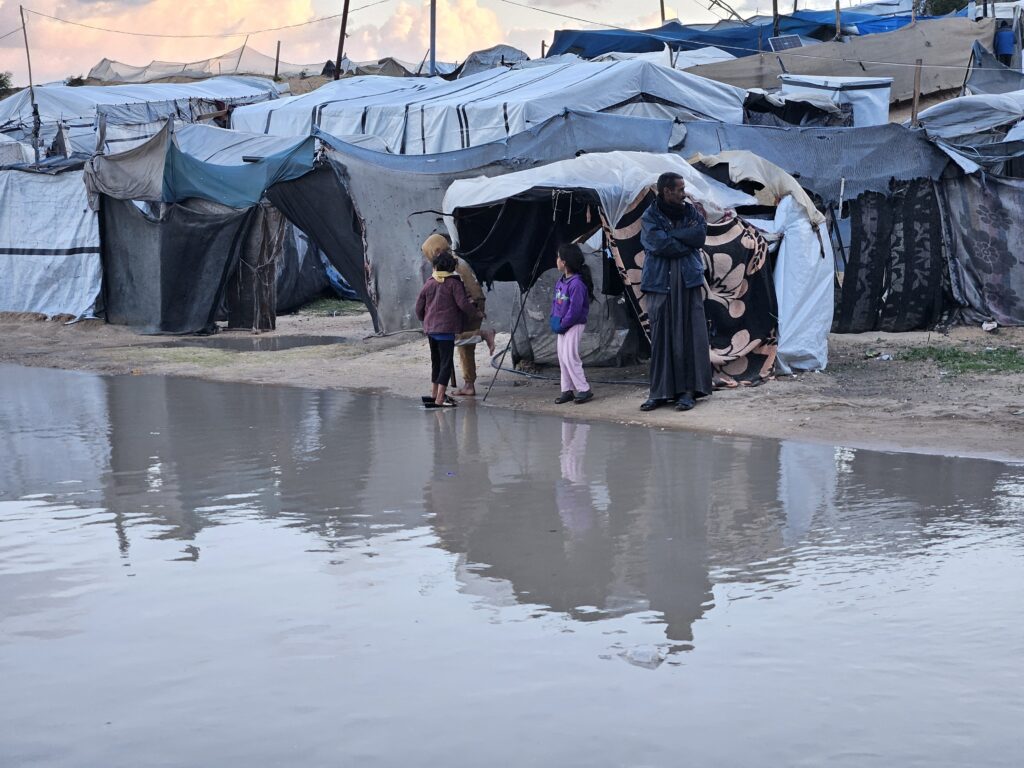 Linia a doua a frontului din Gaza / Șobolani cât iepurii nu se sfiesc să muște din oameni