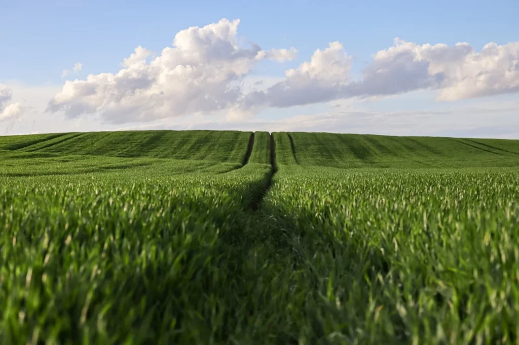 Un demnitar european vorbește despre suveranitatea alimentară și un iminent război agricol