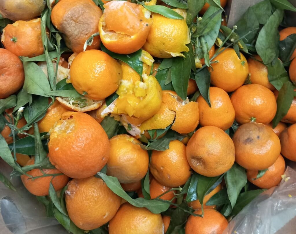 Controale ANPC: Produse alimentare expirate, mucegai și murdărie în magazine