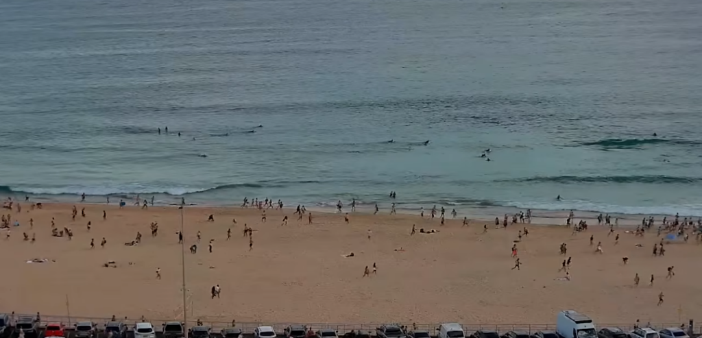 Un expert ONU critică declarațiile lui Netanyahu privind atacul armat de la Bondi Beach