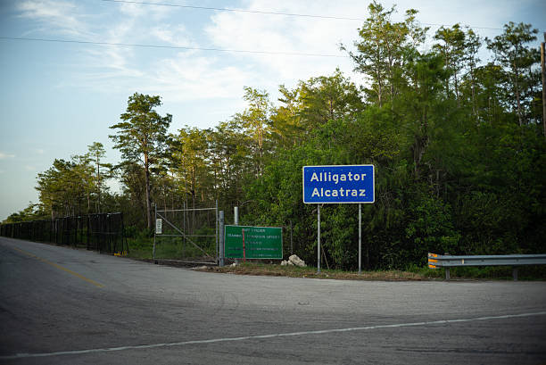 Detalii cutremurătoare despre abuzurile din „Alligator Alcatraz”, dezvăluite într-un raport Amnesty International