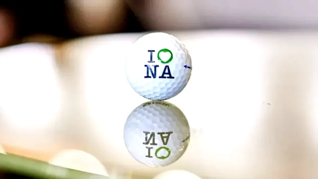 Digital Subsidiary of Austrian State Printing Company Wins Infrastructure Tender for German EU Digital Identity Wallet